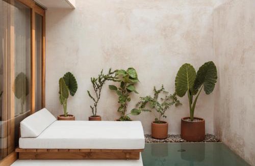 Brisas de Zicatela Hotel | Lunaya