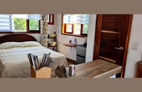 Los Tamarindos Apartment | Casa Minutti