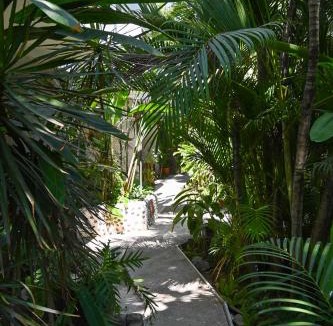 Bucerias Hotel | Hotel Palmeras
