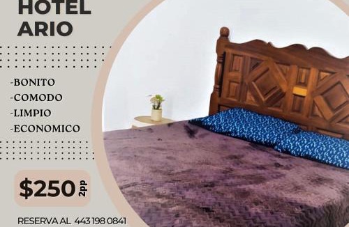 Ario de Rosales House | Hotel Ario