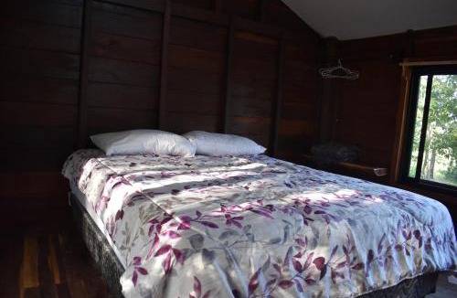 Xpujil Cabin | Eco Aldea kinich Ahau en Calakmul