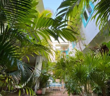 Centro Hotel | Hotel La Piazzetta