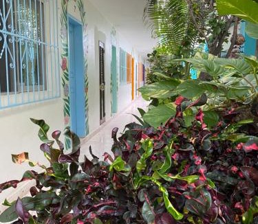 Colonia Centro Hotel | Posada Edem