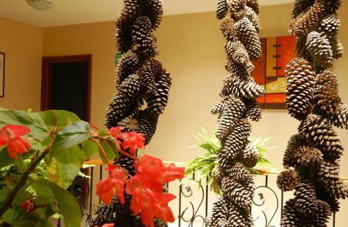 Mazamitla Hotel | Hotel el Leñador