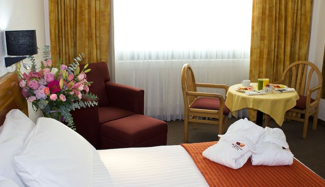 Hotel San Juan Park in San Juan del Río