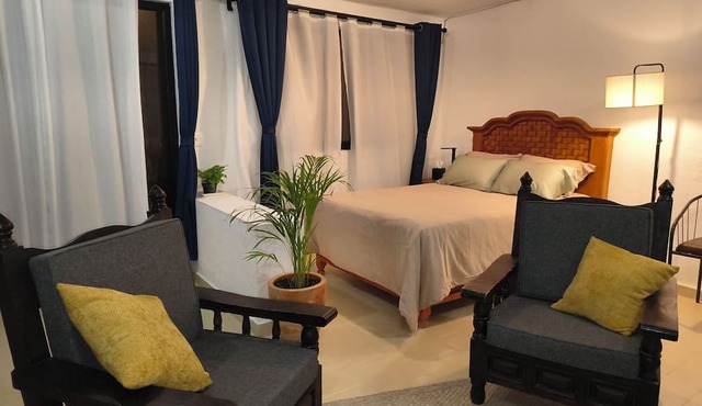 Spacious and quiet apartment PKG free of charge in San Miguel de Allende