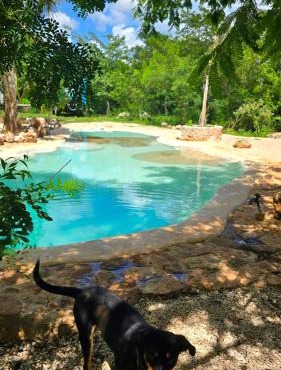 Jungle ranch Casita with Cenote style pool and AC