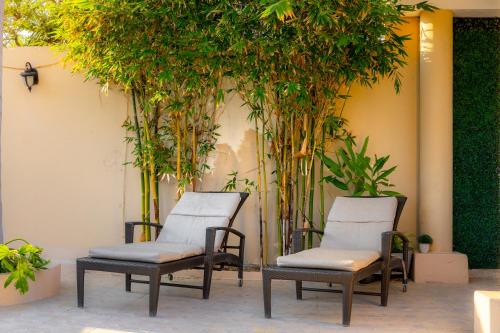 Casa Amplia, 7 Hab con Alberca, Gym y Terraza