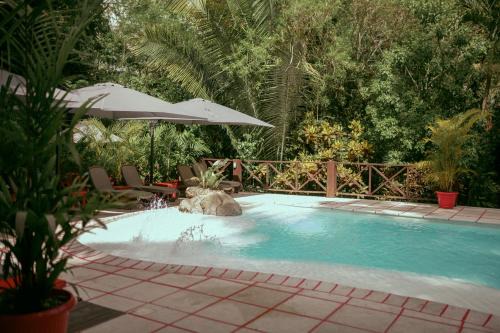 Hotel Jungle Lodge Tikal in Tikal