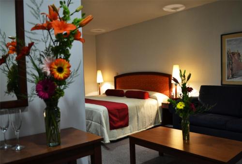 Hotel Mediterraneo Sa De Cv in Tulancingo