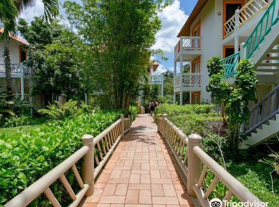 Costa Maya Hotel | Sunscape Sabor Cozumel