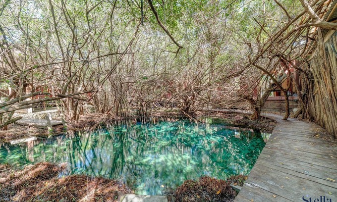 Zona Hotelera Apartment | NEW Jungle Studio, Pool and 2 Cenotes, Beach 200m!