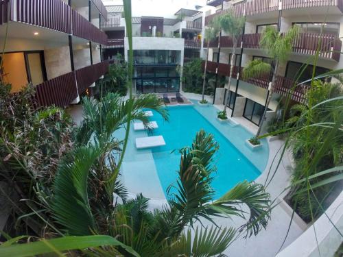 Gonzalo Guerrero Apartment | Palmares 104- 1Bedroom exquisite